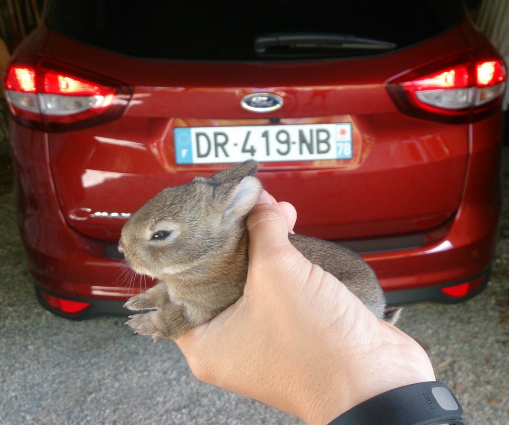 Essai : Ford C-Max et RodiFix #LeBonheurEstDansLeGersEn voiture ...