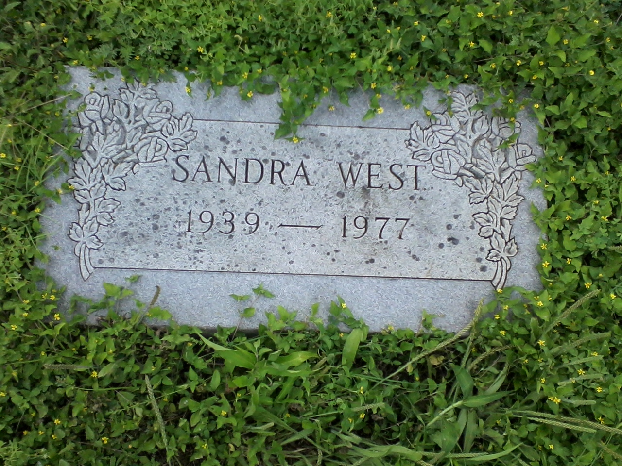 sandra-ilene-west-5