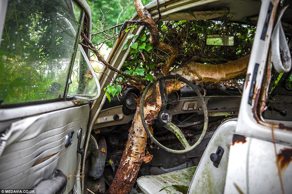 svein-nordrum-Båstnäs-car-cemetery-sweden (12)