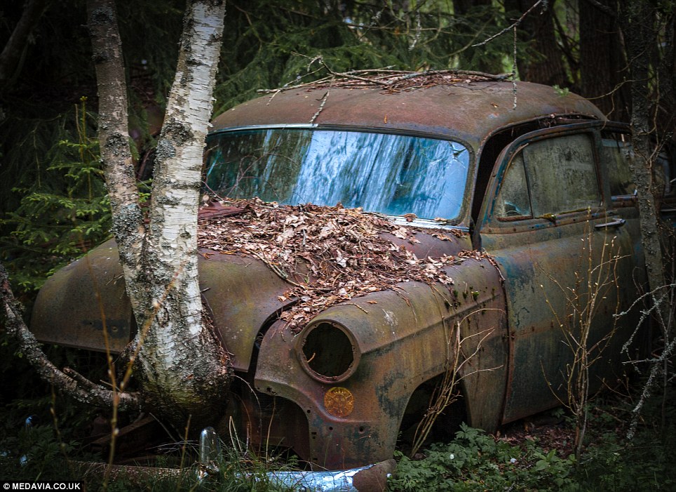 svein-nordrum-Båstnäs-car-cemetery-sweden (13)