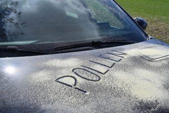 Allergies au volant : un risque sous-estimé à l’heure des grands départs printaniers