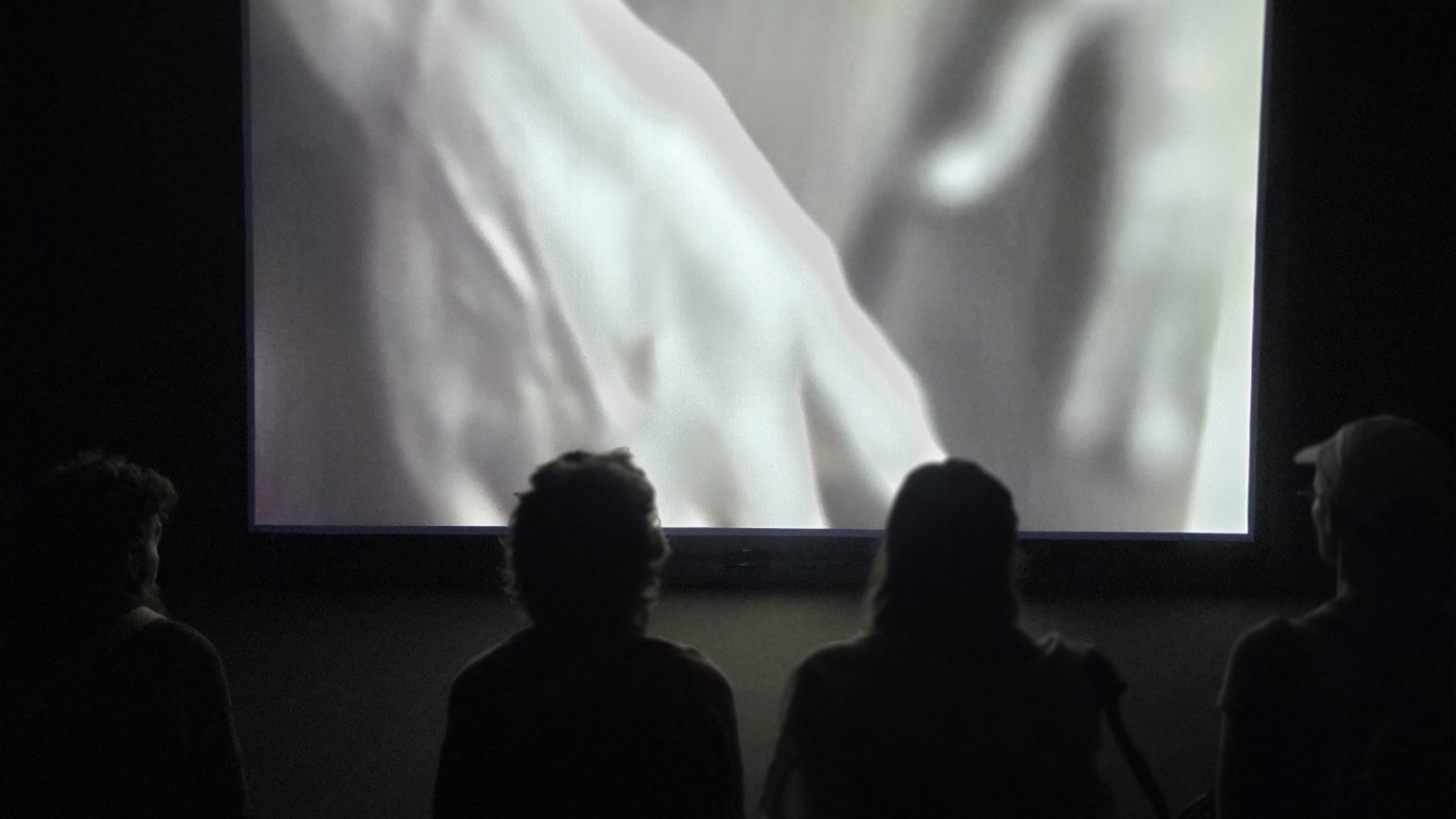 Projection de Futur antérieur progressif d’Angelica Mesiti au Musée des Tissus.