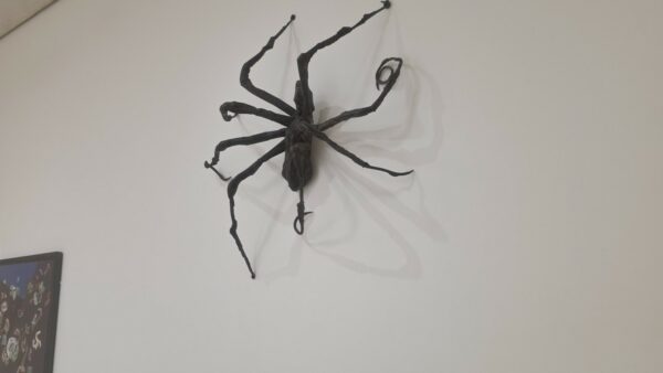 Araignée de Louise Bourgeois exposée à la Fondation Beyeler.