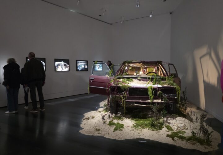 Vue de face de la Renault 9 de Bianca Bondi, entourée de végétaux et de sel, au Large sur l’île Seguin.