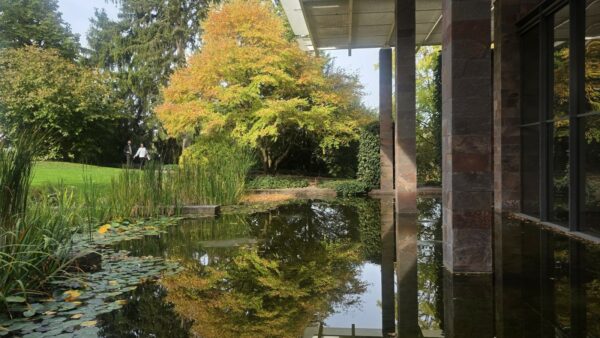 Bassin et jardin de la Fondation Beyeler.